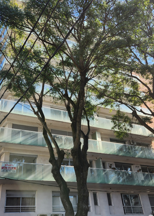 Apto. Parque Batlle, alquiler $27.000